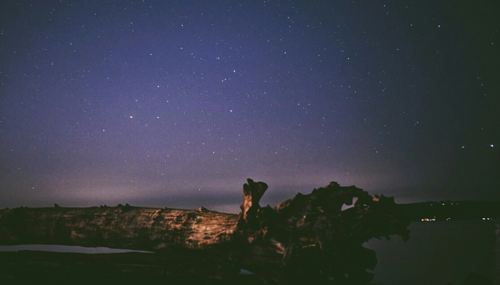 分享实测辅助“星空娱乐辅助透视开挂”其实确实有挂 