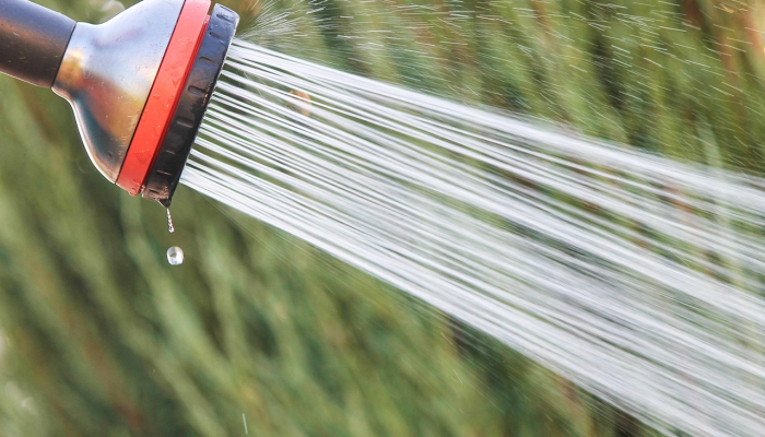 辅助开挂工具“一起宁德钓蟹透视器”其实确实有挂 