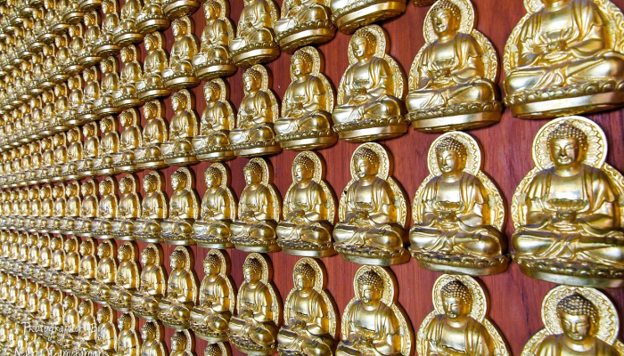 辅助开挂神器“微乐云南麻将开挂神器”其实确实有挂